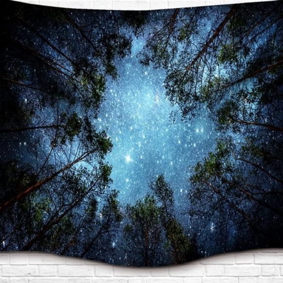 Tapestry - Picture 1 of 3